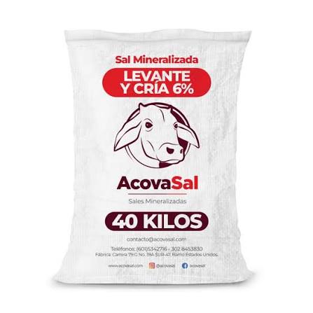SAL BLANCA GANADERA X40 KG